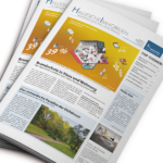 Hallesche Immobilien Zeitung, September 2019