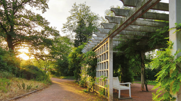 Pergola im Amtsgarten Halle