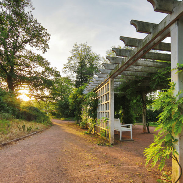 Pergola im Amtsgarten Halle