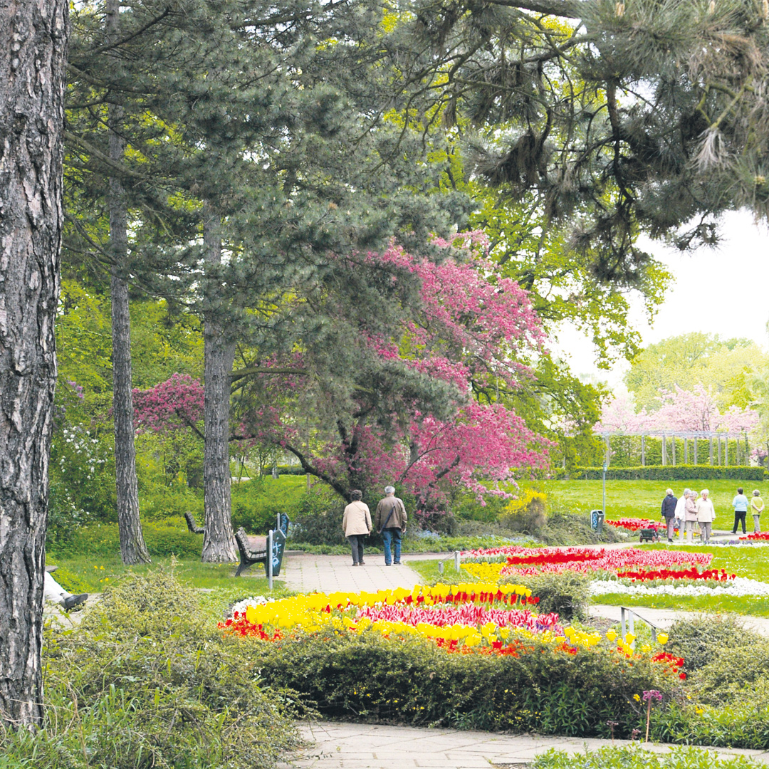GartenArchitektur in Halle Die Geschichte der Gärten