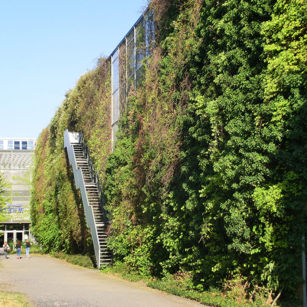 Fassadenbegrünung an einem Parkhaus