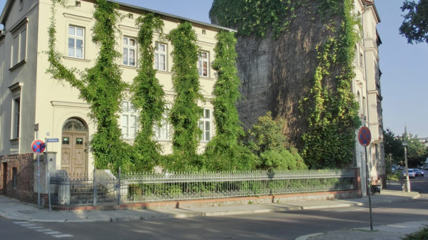 Mit Fassadenbegrünung gegen die Hitze